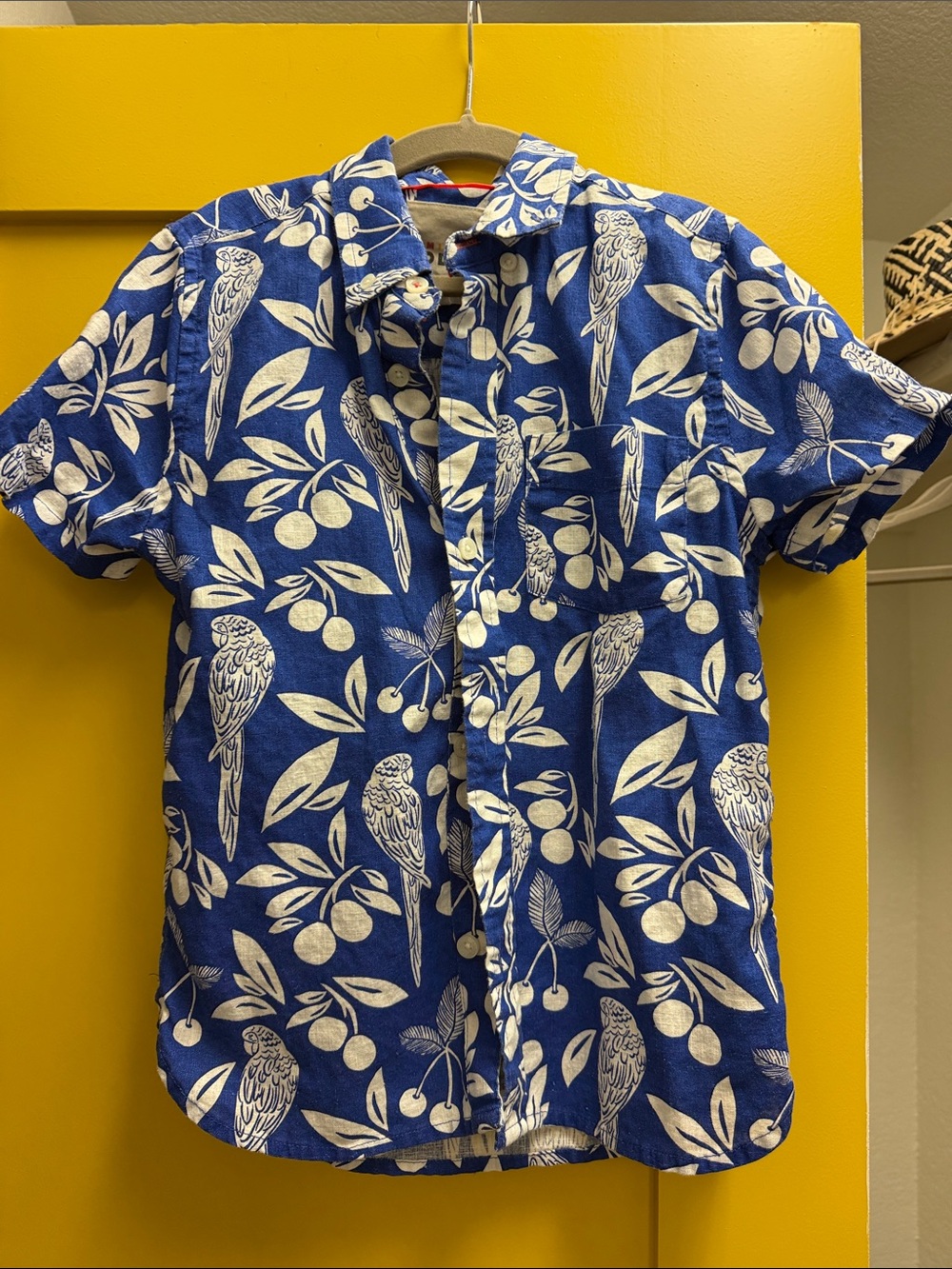 Mini Biden boys Blue Parrot Print Short-Sleeve Shirt